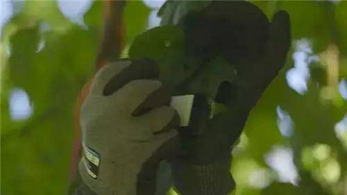 唯獨這些抓人眼球的室外標識才配叫創(chuàng)意！廣告主也滿意10