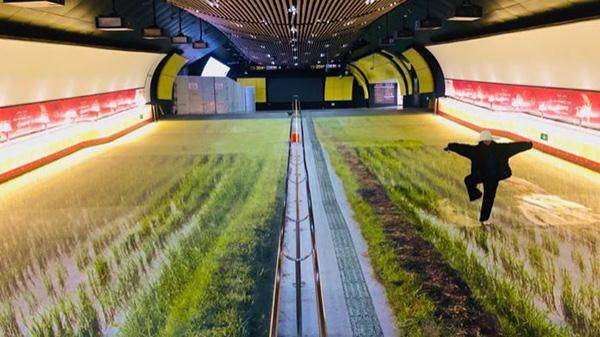 這些戶外廣告的創(chuàng)意你喜好嗎？16