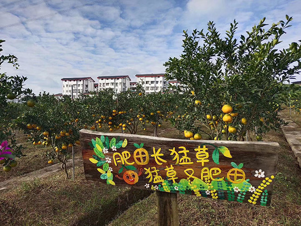 橙里城外廣告牌標(biāo)識升級換新 橙里城外廣告牌標(biāo)識升級換新