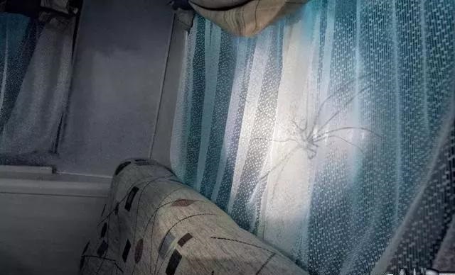 最果的戶外廣告！創(chuàng)意是靈魂35