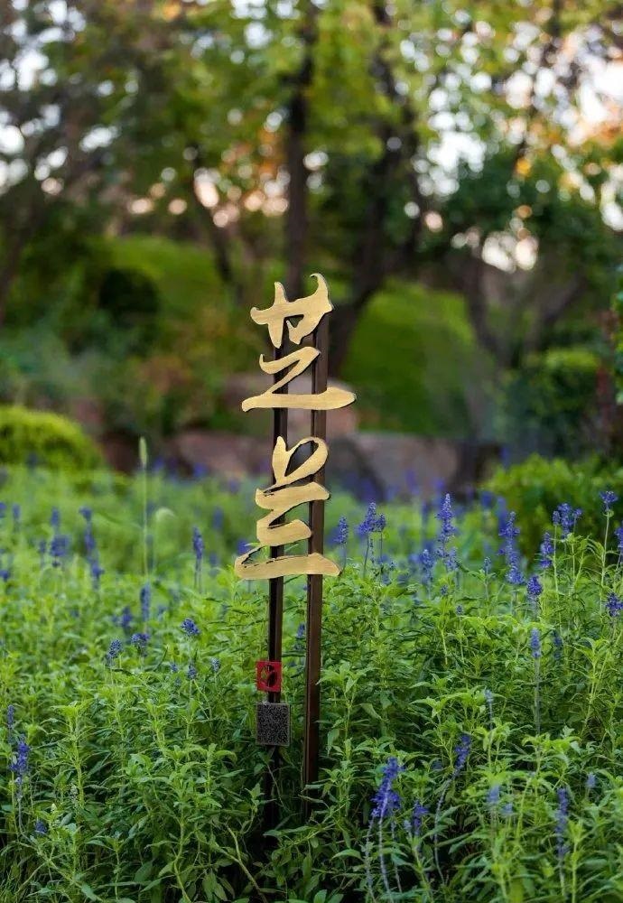 中國風(fēng)標志標牌事例共享，美15