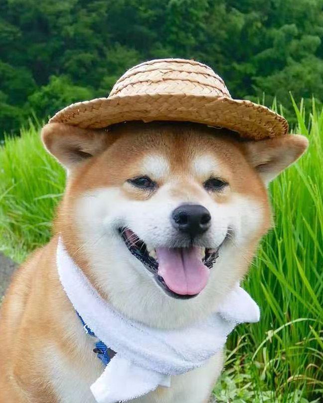 中國路邊的亞克力廣告牌，我能笑一年16