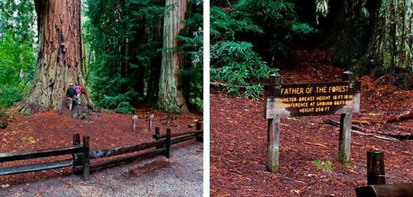 “旅游化”的標(biāo)志系統(tǒng)，讓標(biāo)識牌成為景區(qū)里的特殊景物11